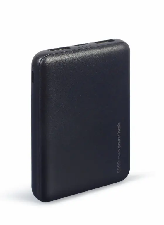 ⁨Gembird PB05-02 power bank Lithium Polymer (LiPo) 5000 mAh Black⁩ at Wasserman.eu