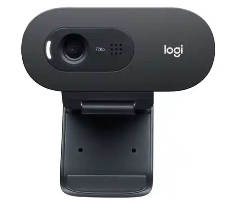 ⁨Logitech C505 Webcam 1280 x 720 Pixel USB Schwarz⁩ im Wasserman.eu