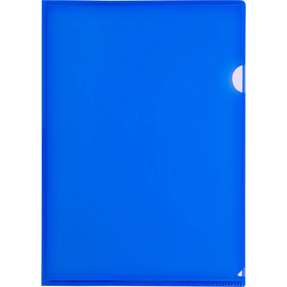 ⁨Dust jacket A4 PP "L" thickness 0.14mm blue (12) BT615-N TETIS⁩ at Wasserman.eu