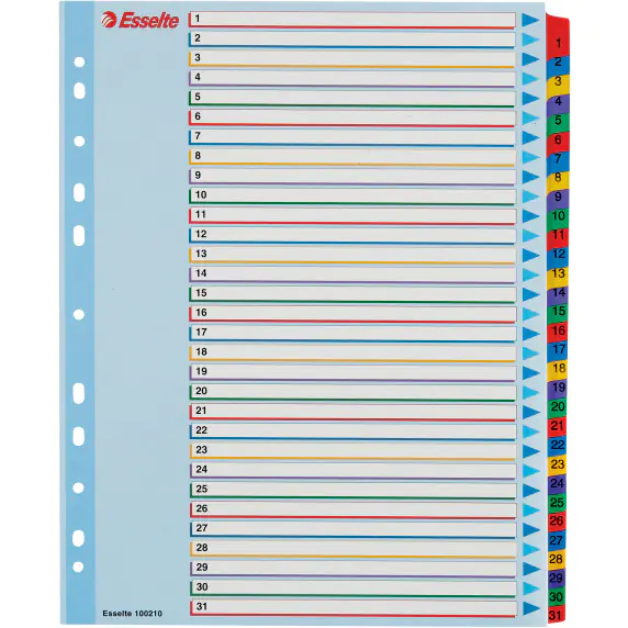 ⁨Przekładki kartonowe MYLAR A4 MAXI 1-31 ESSELTE 100210⁩ w sklepie Wasserman.eu