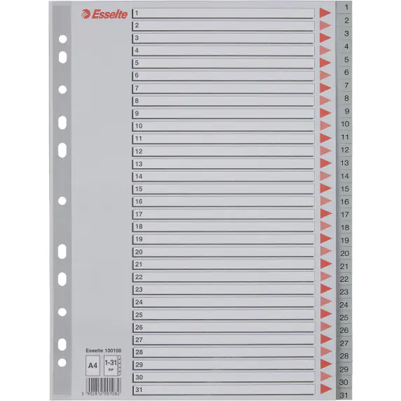 ⁨Przekładki plastikowe szare PP A4 1-31 numeryczne 100108 ESSELTE⁩ w sklepie Wasserman.eu