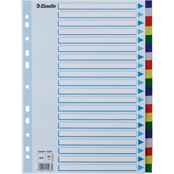 ⁨Przekładki plastikowe z PP A4 20 kart 15263 ESSELTE⁩ w sklepie Wasserman.eu