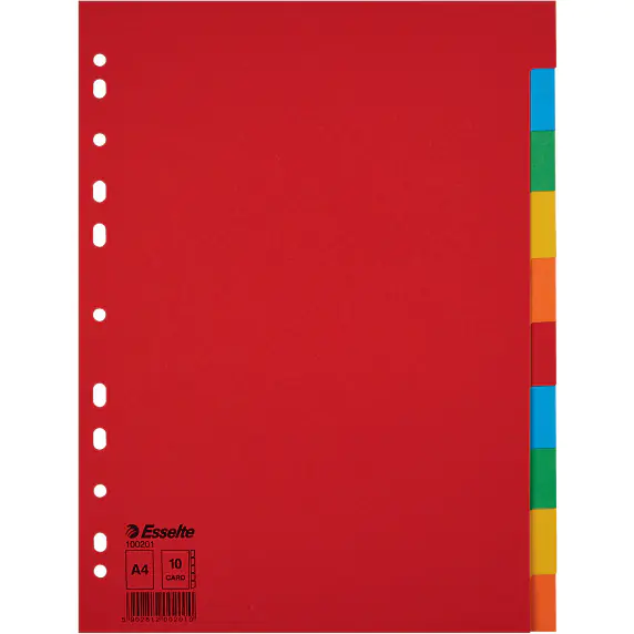 ⁨Spacers cardboard A4 10 cards ESSELTE 100201 colored without description sheet⁩ at Wasserman.eu