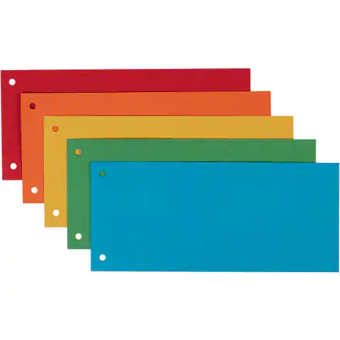 ⁨Przekładki kartonowe 1/3 A4 (100) mix kolor (separatory) 624450 ESSELTE⁩ w sklepie Wasserman.eu