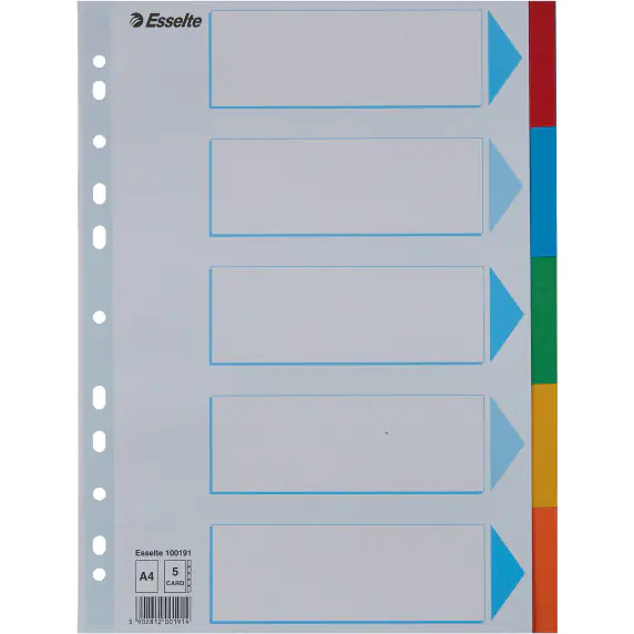 ⁨Spacers cardboard A4 5 cards ESSELTE 100191 colored with description sheet⁩ at Wasserman.eu