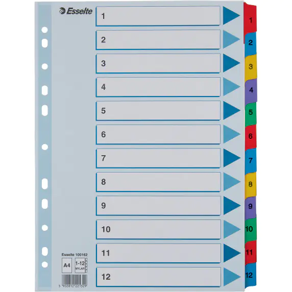 ⁨Cardboard spacers MYLAR A4 1-12 white 100162 ESSELTE⁩ at Wasserman.eu