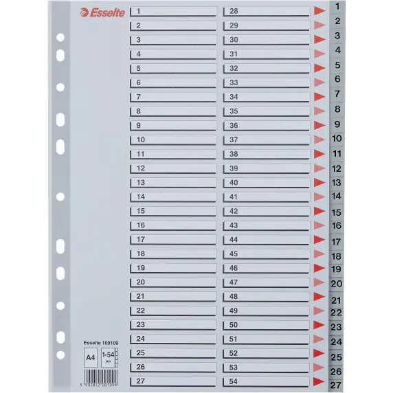 ⁨Przekładki plastikowe numeryczne A4 1-54 szare ESSELTE 100109⁩ w sklepie Wasserman.eu