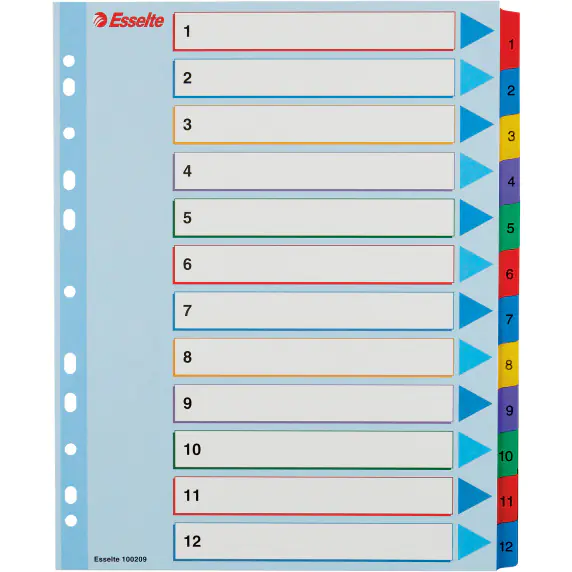 ⁨Przekładki kartonowe MYLAR A4 MAXI 1-12 ESSELTE 100209⁩ w sklepie Wasserman.eu