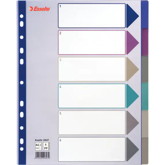 ⁨Transl.A4 PP MULTICOLOR 6 cards 20647 MAXI ESSELTE⁩ at Wasserman.eu