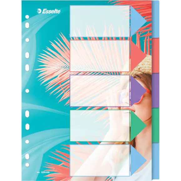 ⁨Spacers Colour'Breeze PP A4 5 spacers 628498 ESSELTE⁩ at Wasserman.eu
