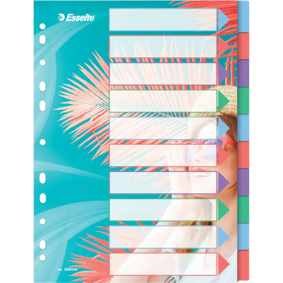 ⁨Spacers Colour'Breeze PP A4 10 spacers 628500 ESSELTE⁩ at Wasserman.eu