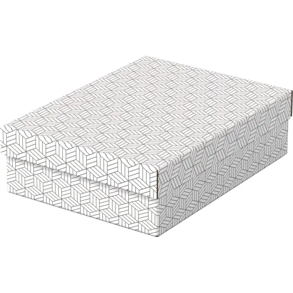 ⁨Household storage boxes flat size M 3 pieces white 628284 ESSELTE⁩ at Wasserman.eu