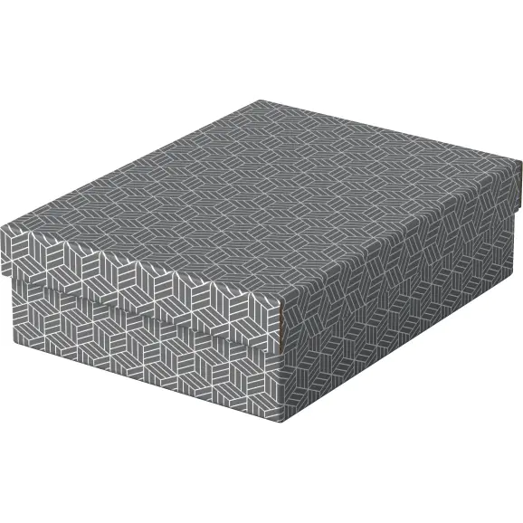 ⁨Household storage boxes flat size M 3 pieces grey 628285 ESSELTE⁩ at Wasserman.eu