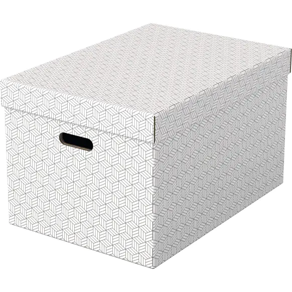⁨Home Storage Boxes Size L 3 Pieces White 628286 ESSELTE⁩ at Wasserman.eu