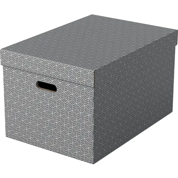 ⁨Home storage boxes size L 3 pieces gray 628287 ESSELTE⁩ at Wasserman.eu