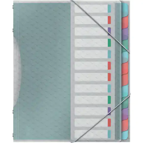 ⁨Segregation folder with 12 ESSELTE COLOUR "ICE 626256 dividers⁩ at Wasserman.eu