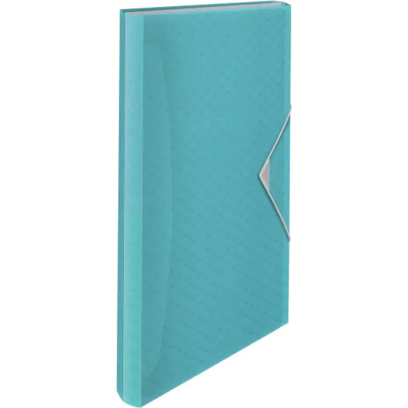 ⁨Folder with compartments blue ESSELTE COLOUR"ICE 626252⁩ at Wasserman.eu