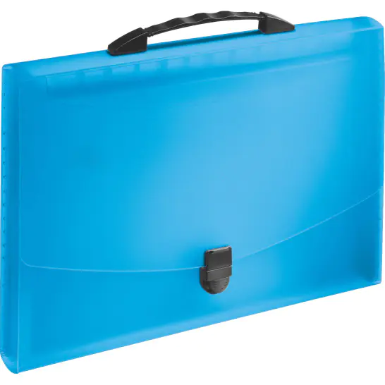 ⁨Folder with compartments and handle blue ESSELTE VIVIDA 624022⁩ at Wasserman.eu