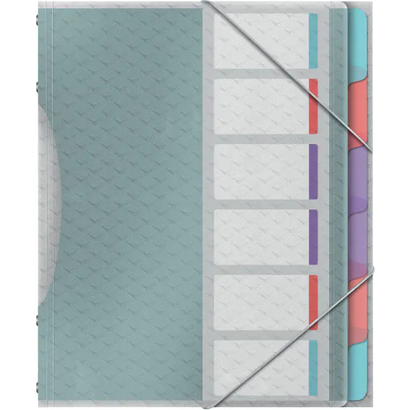 ⁨Filing folder with 6 ESSELTE COLOUR"ICE spacers with 626255⁩ at Wasserman.eu