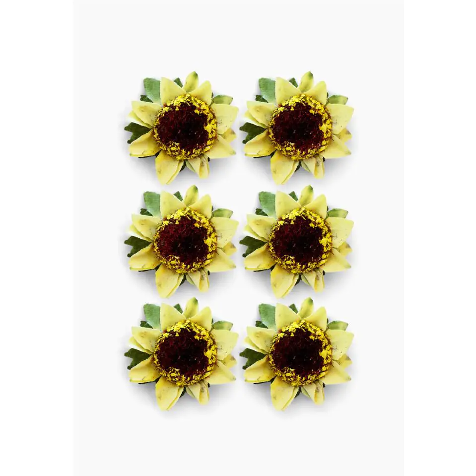 ⁨Flowers self-paper SUNFLOWERS 6pcs. 252022 Paper Gallery⁩ at Wasserman.eu