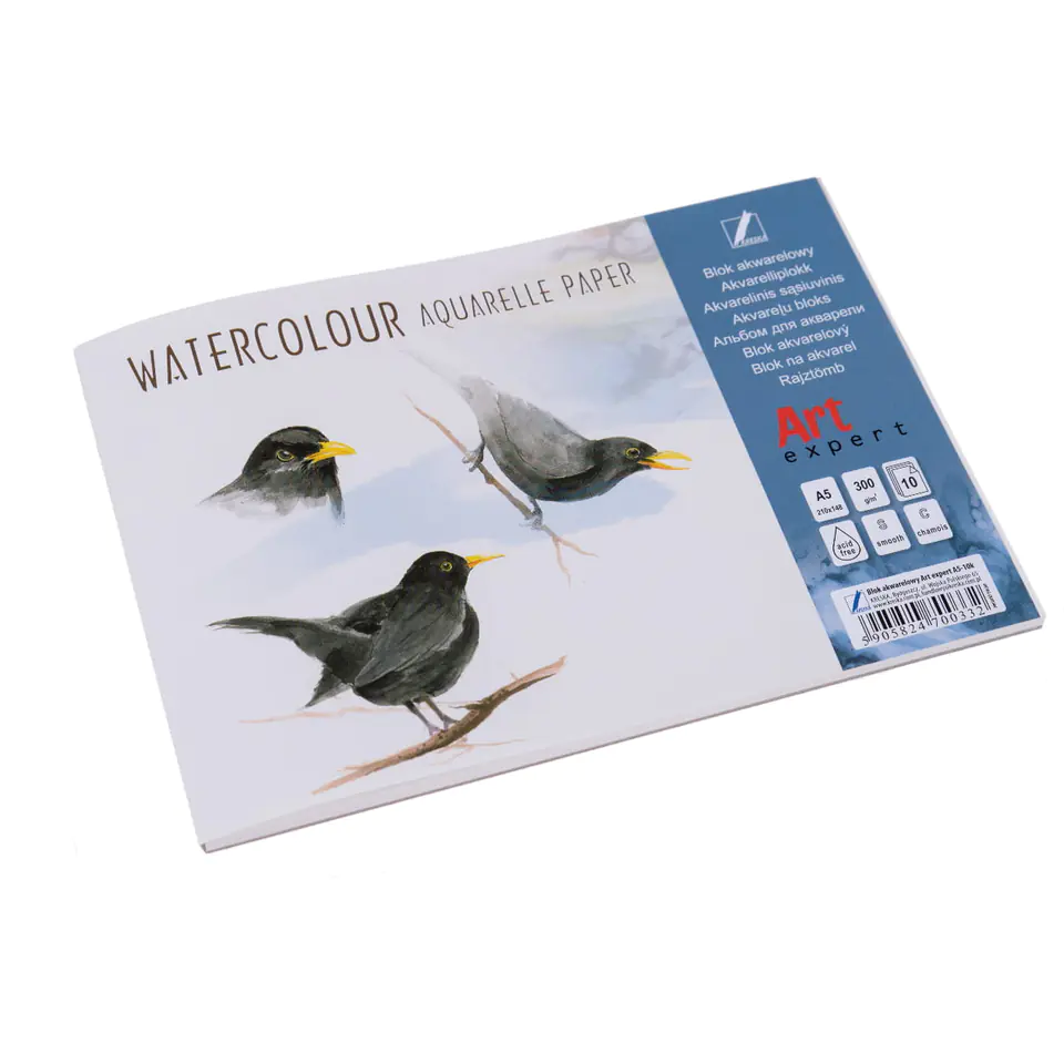 ⁨Watercolor block Art Expert A5-10 300g DASH⁩ at Wasserman.eu