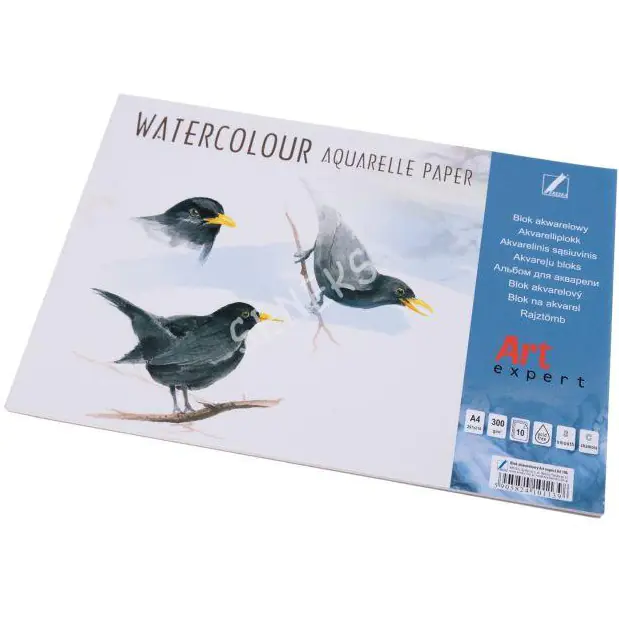 ⁨Watercolor block Art Expert A4-10 300g DASH⁩ at Wasserman.eu