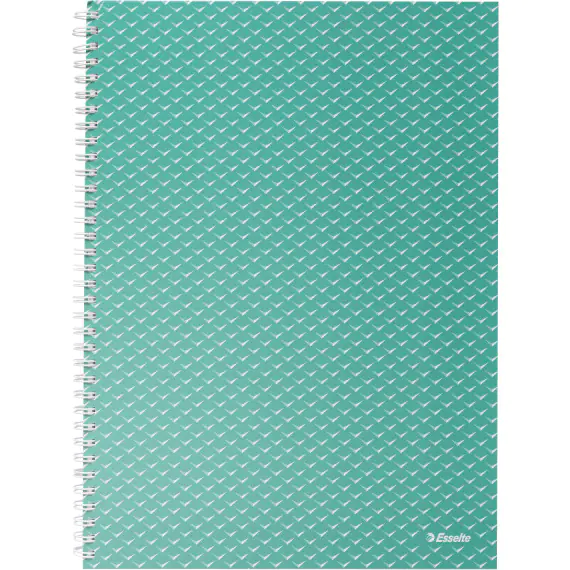 ⁨Kołonotatnik Colour`Breeze A4 w kratkę zielony 628477 ESSELTE⁩ w sklepie Wasserman.eu