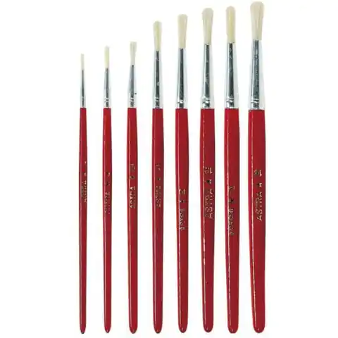 ⁨School brushes No. 12 ASTRA 53633907⁩ at Wasserman.eu
