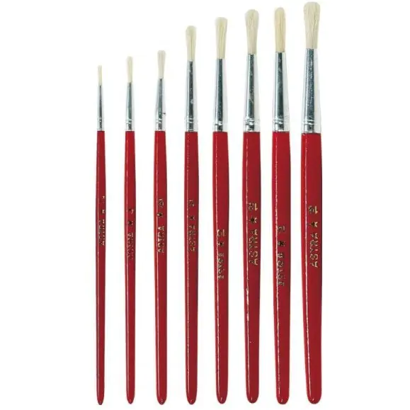 ⁨School brushes No. 4 ASTRA 53633903⁩ at Wasserman.eu