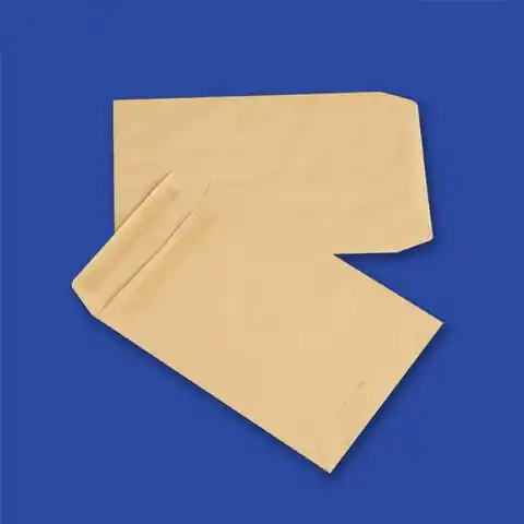 ⁨Envelopes C5 SK brown (50pcs.) NC self-adhesive⁩ at Wasserman.eu