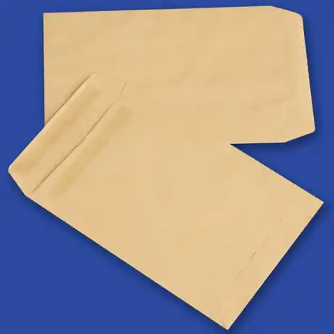 ⁨B5 SK envelopes brown (25pcs) NC self-adhesive 31523020/25⁩ at Wasserman.eu