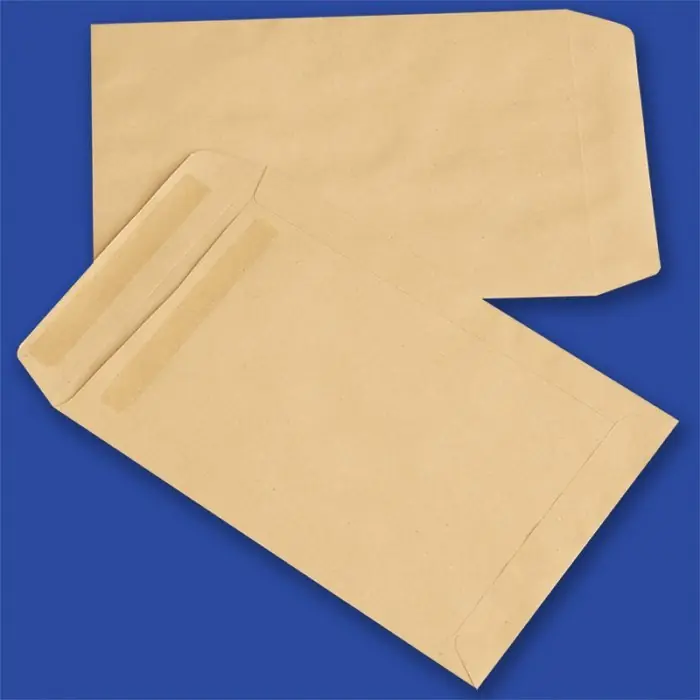 ⁨Envelopes C4 SK brown 90g (250pcs.) NC self-adhesive 31623020⁩ at Wasserman.eu