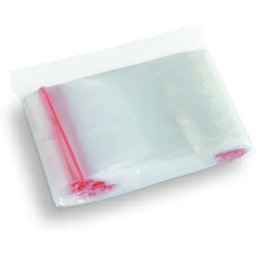 ⁨Zipper bags 250x300 (100) SW0130/20⁩ at Wasserman.eu