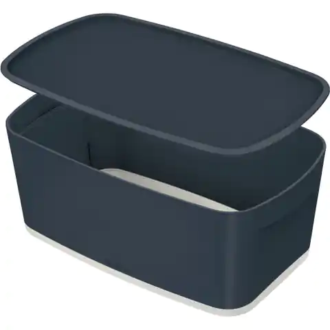 ⁨MyBox Cosy small container with lid grey 52630089 LEITZ⁩ at Wasserman.eu