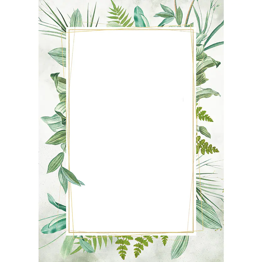 ⁨Diploma A4 BOTANIC 170g. (25ark.) 219617 Paper Gallery⁩ at Wasserman.eu
