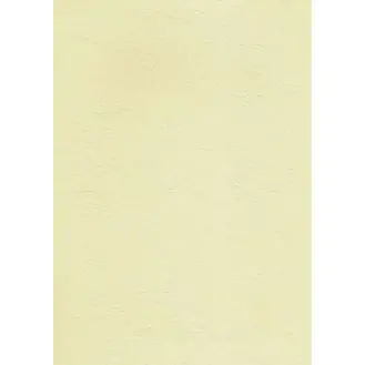 Business card carton 185g (20 sheets) W87 ecrue skin DASH at Wasserman.eu