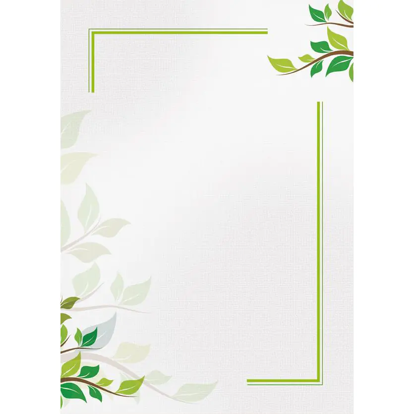 ⁨Diploma A4 GREEN 170g (25ark) 218917 Paper Gallery⁩ at Wasserman.eu