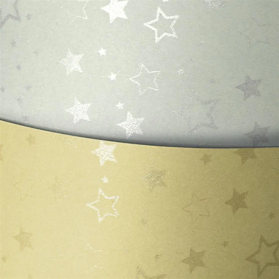 ⁨Decorative carton A4 STARS silver 220g (20ark.) 204305 Paper Gallery⁩ at Wasserman.eu