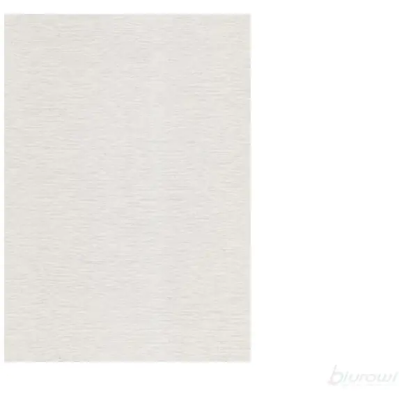 ⁨Business card carton (20 sheets) W02 canvas DASH⁩ at Wasserman.eu