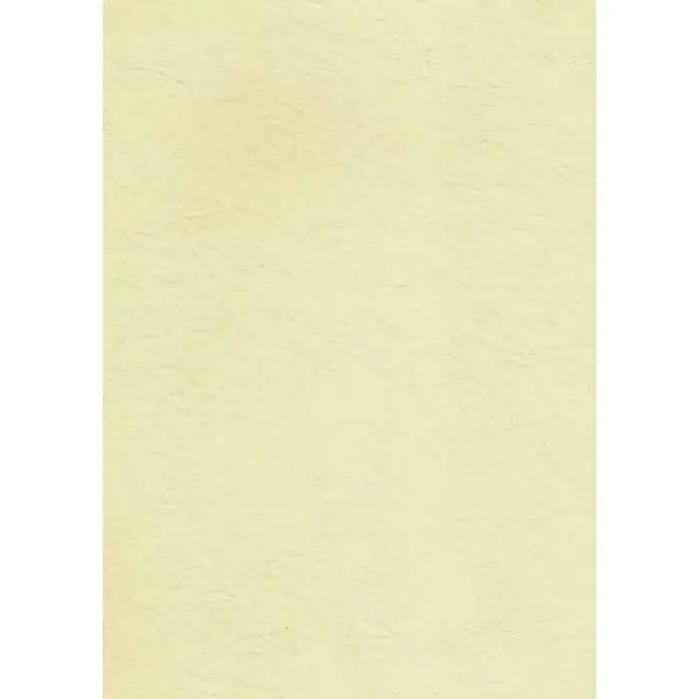 Business card carton 246g (20 sheets) W45 wallpaper ecrue DASH at Wasserman.eu