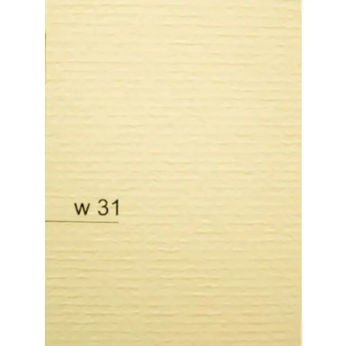 ⁨Carton of visas. A4 cream feather W31 (10) 220g DASH⁩ at Wasserman.eu