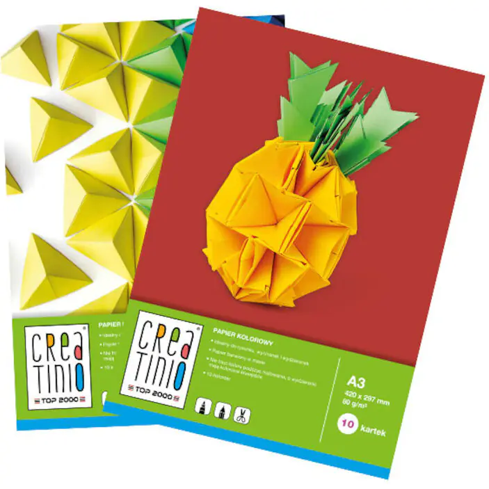 ⁨Colour paper notebook A3 10k 80g. CREATINIO 400079857 TOP 2000⁩ at Wasserman.eu