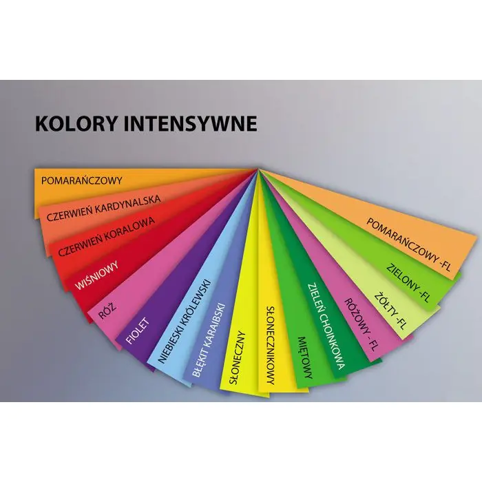 ⁨Papier ksero A4 80g TROPHEE pomarańczowy fluo 2978 500ark CLAIREFONTAINEk⁩ w sklepie Wasserman.eu