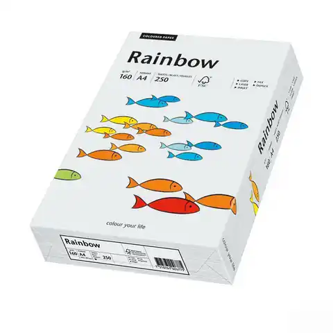 ⁨Farbkopierpapier A4 160g RAINBOW R93 hellgrau (250ark) 88042791⁩ im Wasserman.eu