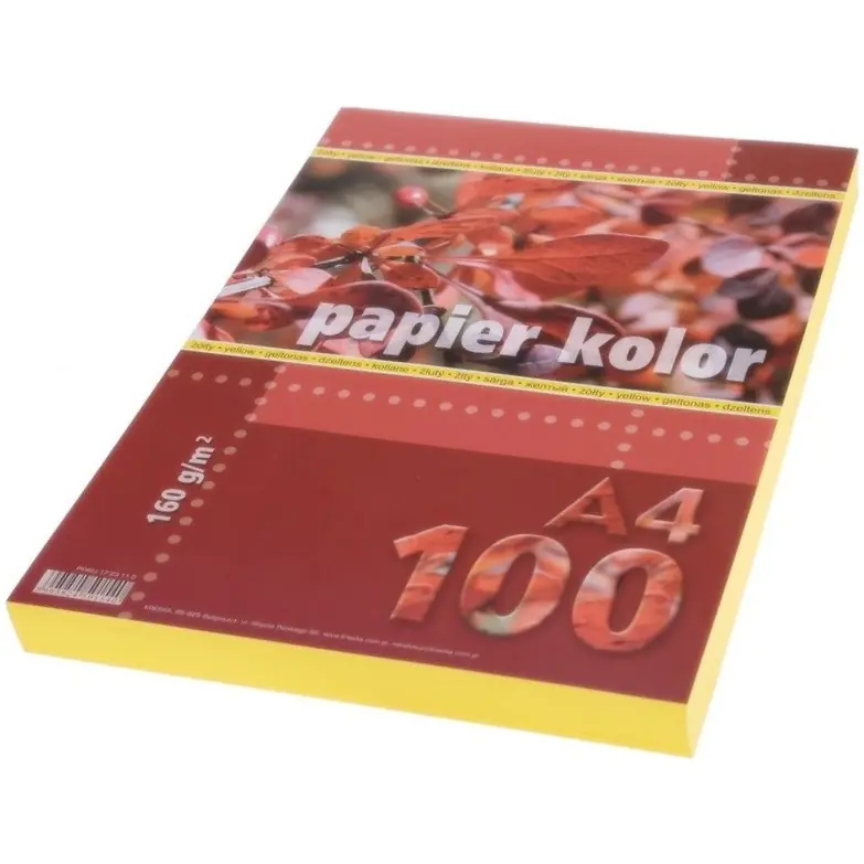 ⁨Papier ksero A4 160g KRESKA żółty 100ark⁩ w sklepie Wasserman.eu