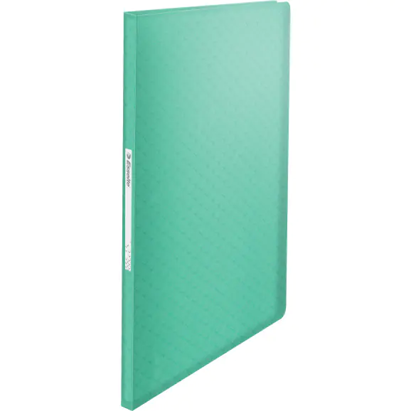 ⁨Album ofertowy na dokumenty A4 60 kieszeni Colour`Breeze zielony 626233 ESSELTE⁩ w sklepie Wasserman.eu