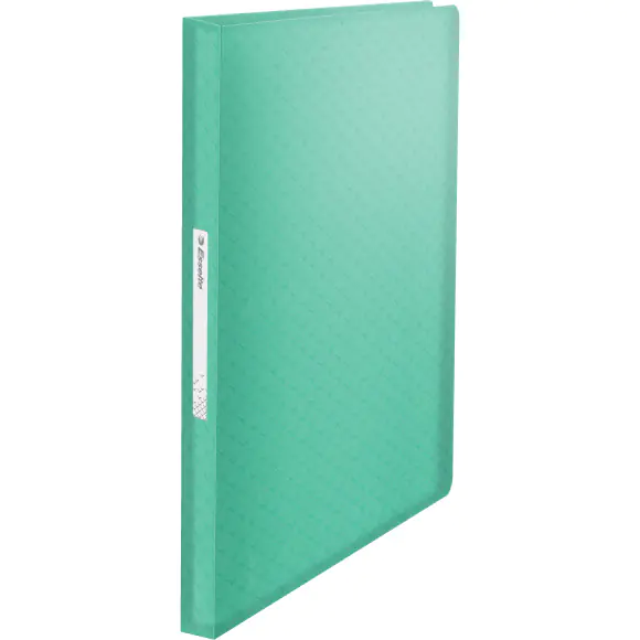 ⁨COLOUR"ICE 80pocket green 626238 ESSELTE⁩ at Wasserman.eu
