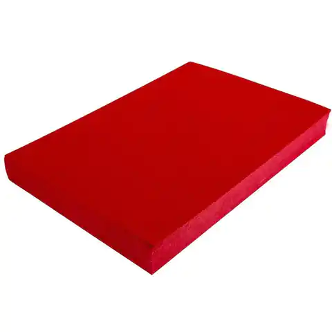 ⁨Cardboard cover for binding DELTA A4 NATUNA red leather-like (100pcs)⁩ at Wasserman.eu