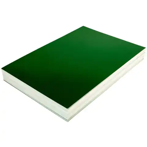 ⁨Cardboard cover for binding CHROMO A4 NATUNA green glossy (100pcs)⁩ at Wasserman.eu