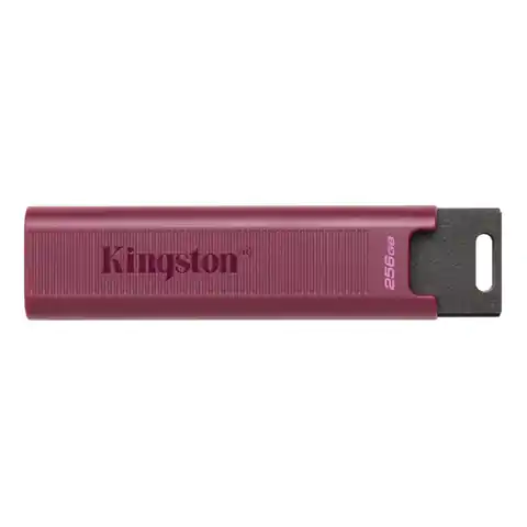⁨Pendrive (Pamięć USB) KINGSTON 1 TB Fioletowy⁩ w sklepie Wasserman.eu